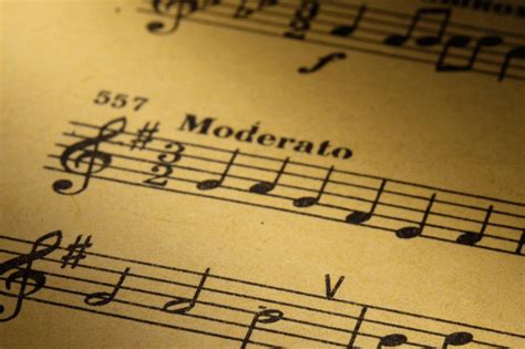 Moderato Music Meaning and Its Various Interpretations